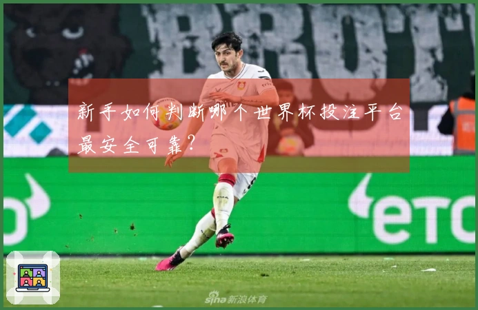 新手如何判断哪个世界杯投注平台最安全可靠？