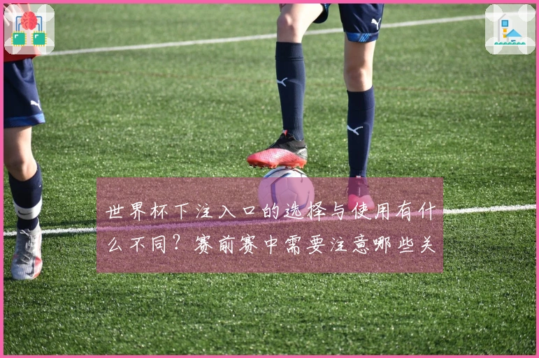 世界杯下注入口的选择与使用有什么不同？赛前赛中需要注意哪些关键点？
