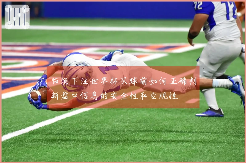 临场下注世界杯买球前如何正确判断盘口信息的安全性和合规性