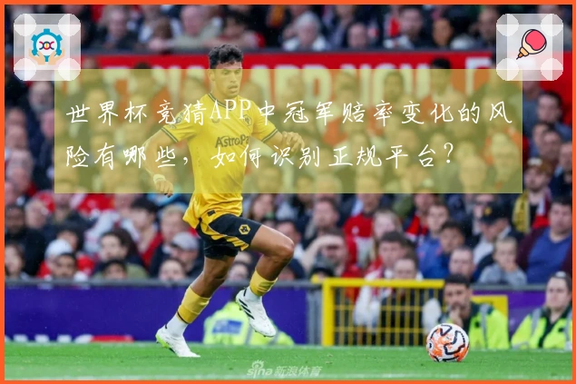 世界杯竞猜APP中冠军赔率变化的风险有哪些，如何识别正规平台？
