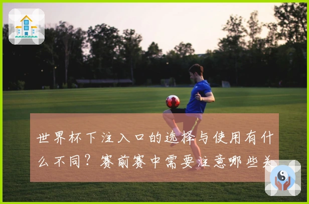 世界杯下注入口的选择与使用有什么不同？赛前赛中需要注意哪些关键点？