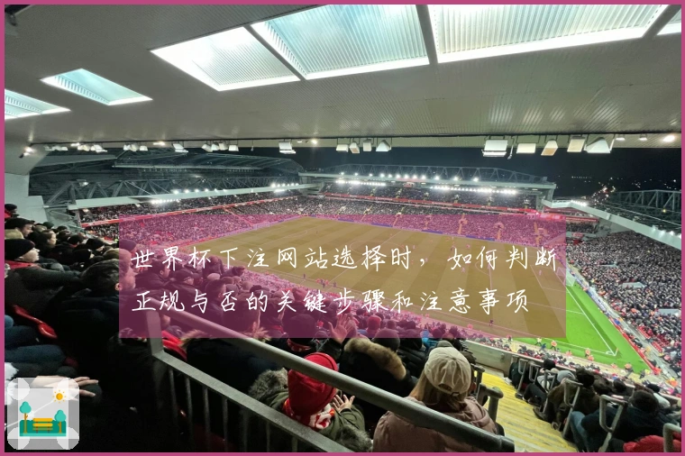 世界杯下注网站选择时，如何判断正规与否的关键步骤和注意事项
