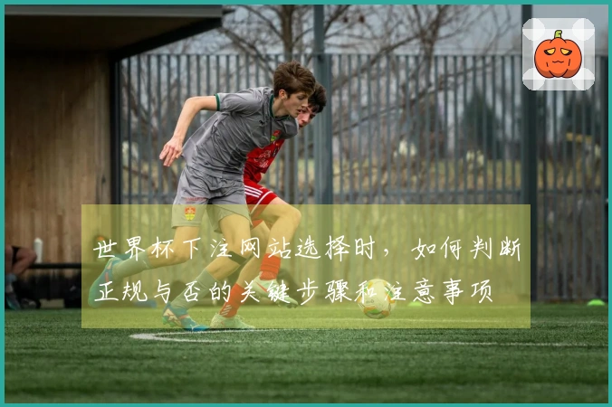 世界杯下注网站选择时，如何判断正规与否的关键步骤和注意事项